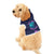 Bay Area Breakers Eclipse Blue Pet Hoodie