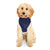 Bay Area Breakers Eclipse Blue Pet Hoodie